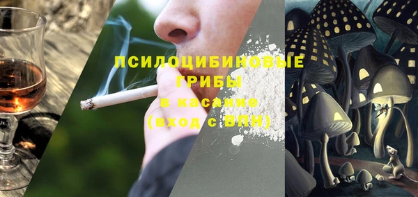 ПСИЛОЦИБИНОВЫЕ ГРИБЫ Алзамай