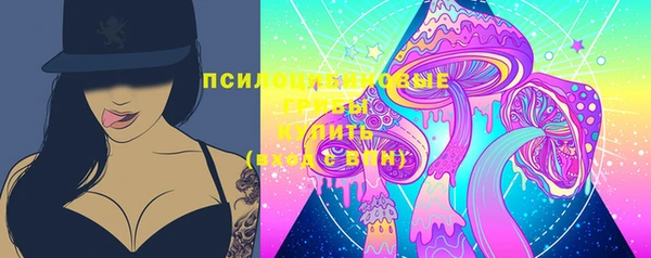 стаф Алексеевка